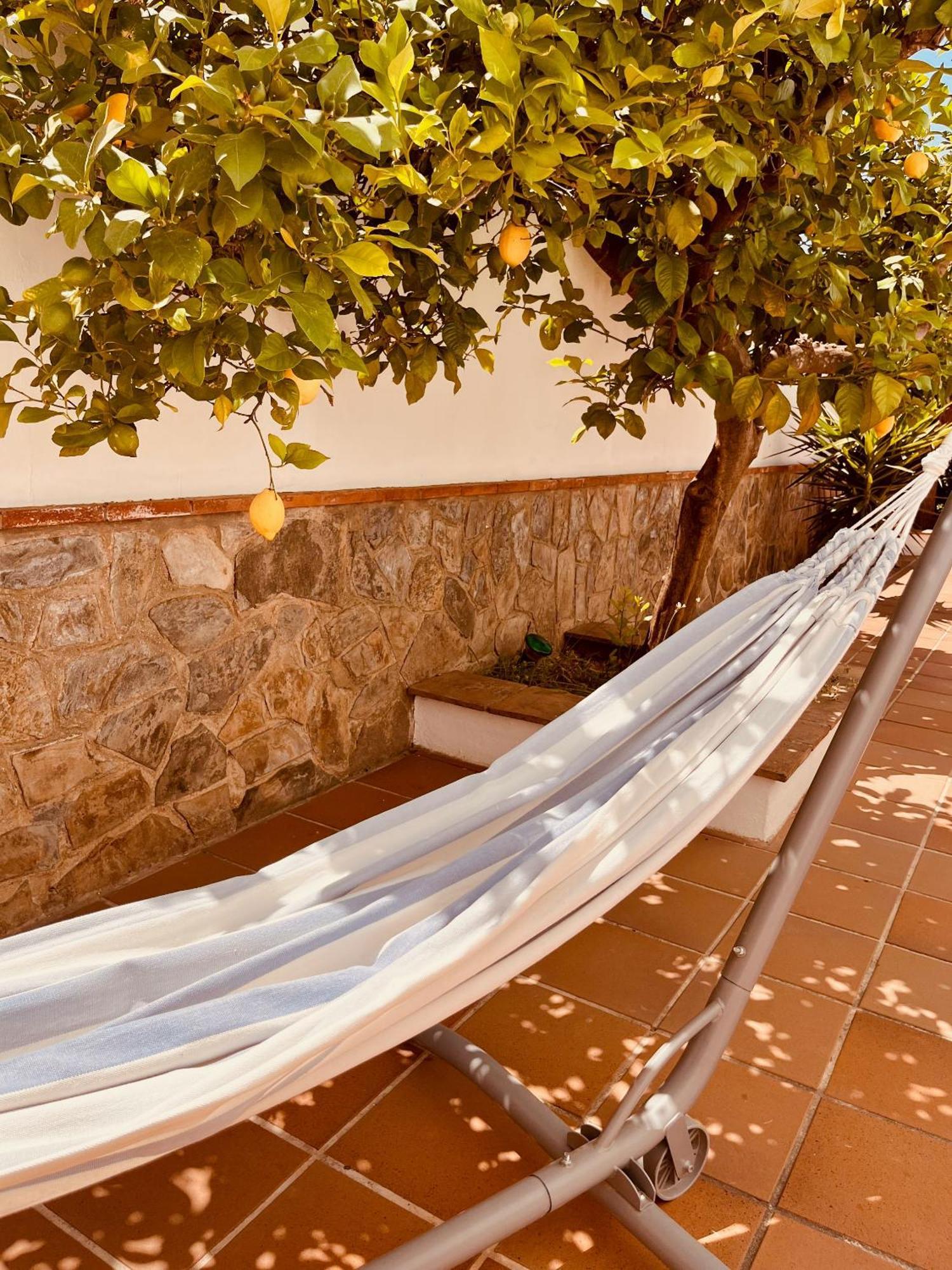 Casa Limon, Boutique Bed And Breakfast, Adults Only Alhaurín el Grande Kültér fotó